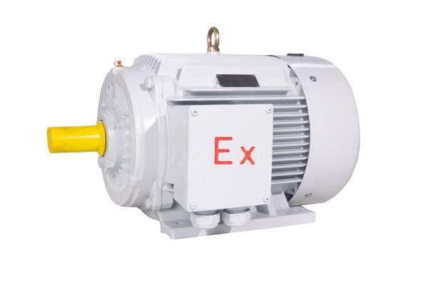 YFBX3系列高效率粉塵防爆型三相異步電動(dòng)機(jī) YFBX3系列高效率粉塵防爆型三相異步電動(dòng)機(jī)