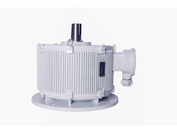 DZTYP系列冷卻塔用永磁變頻直驅(qū)電動機