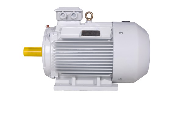 YE3（IE3）系列三相異步電動(dòng)機(jī)